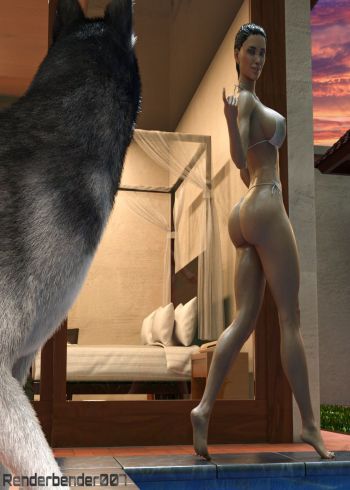 Cover of Playful Pup